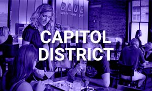 Capitol District